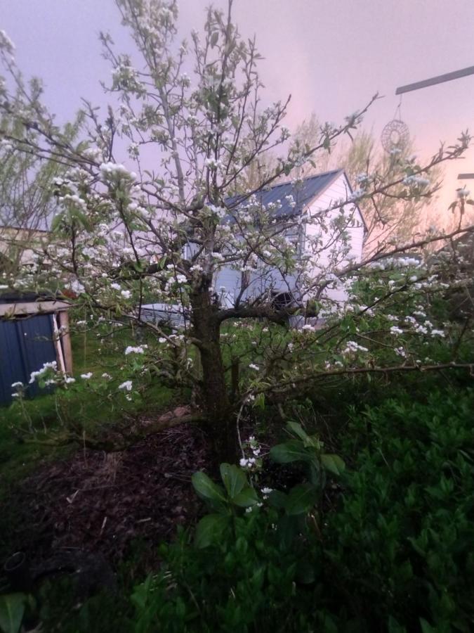 Tuinhuisje In Het Groen Almere Extérieur photo