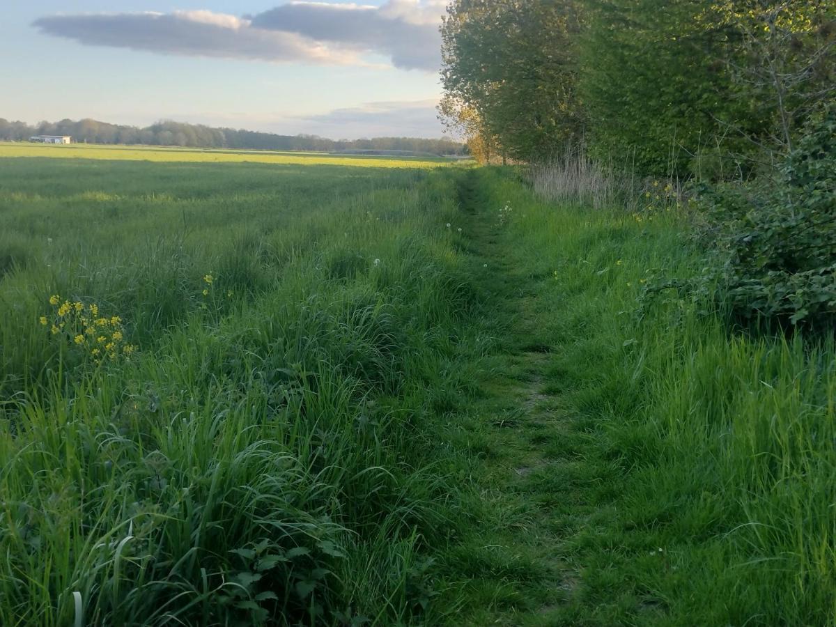 Tuinhuisje In Het Groen Almere Extérieur photo