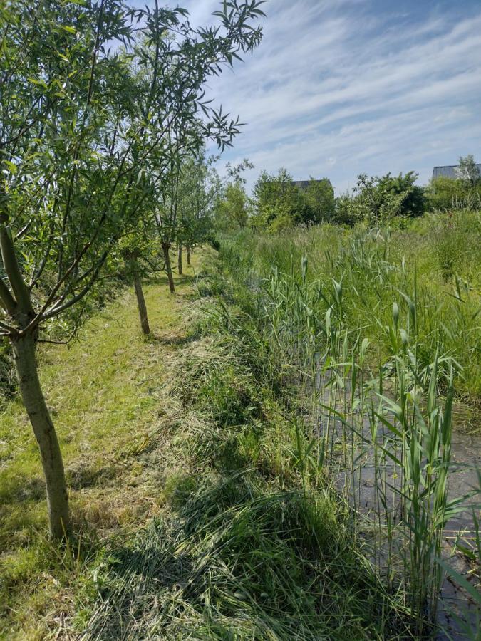 Tuinhuisje In Het Groen Almere Extérieur photo